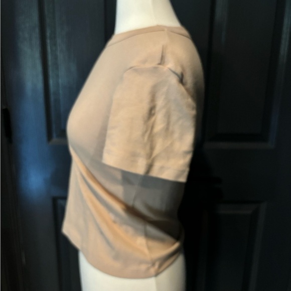 Stateside Tan and Cream Fitted Crop T-Shirt - Picture 2 of 4